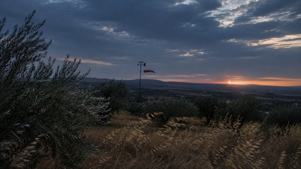 Paisaje mediterráneo con vegetación movida por una brisa durante un eclipse solar parcial
